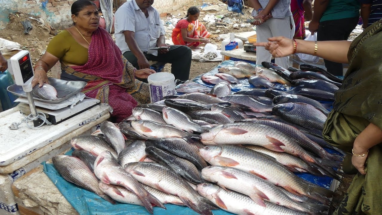Fish market, chhadakhai in bbsr, Fish