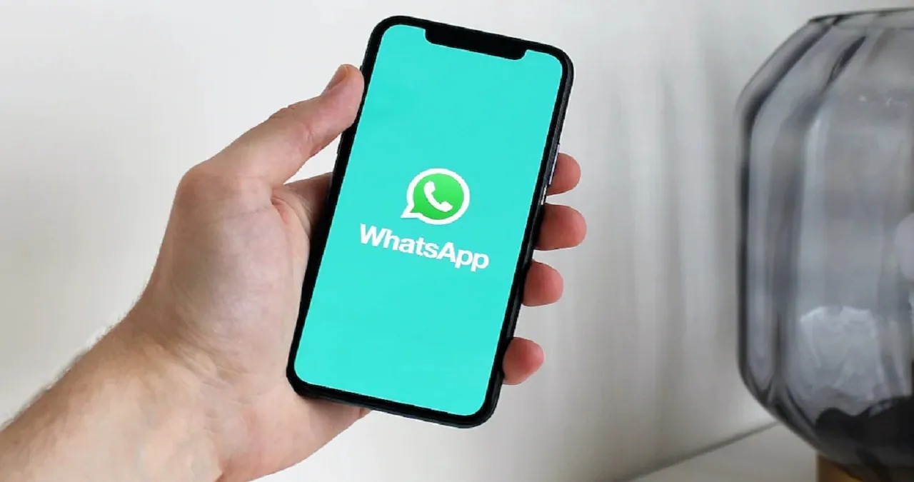 whatapp about feature